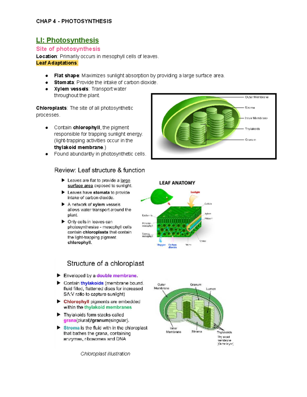 CHAP 4 PHOTOSYNTHESIS LI: Understanding Photosynthesis Mechanisms and ...