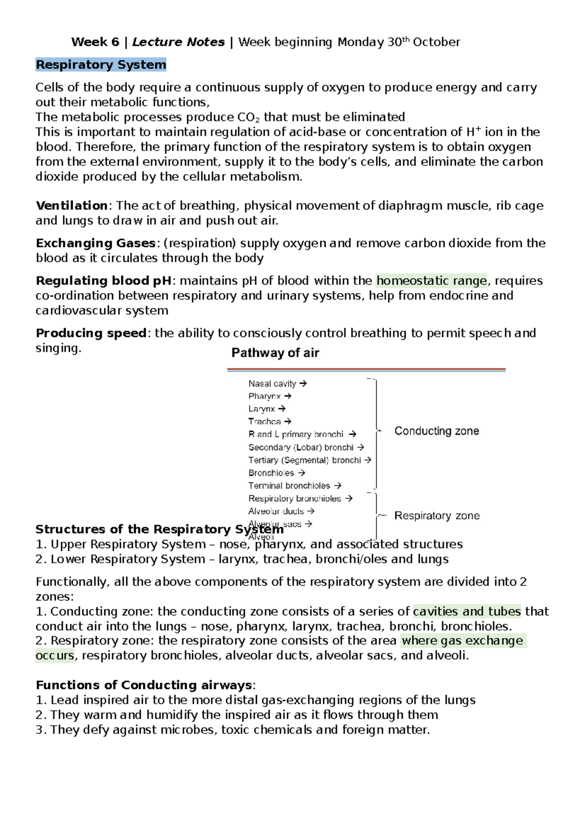 Respiratory System: Detailed Lecture Notes for Week 6 (Course Code ...