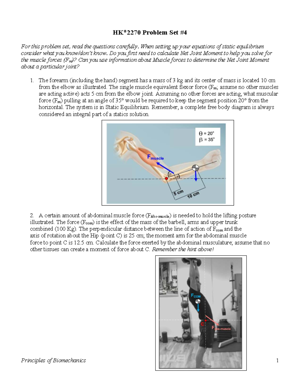 Problem Set 4: Static Equilibrium in Biomechanics - Studocu
