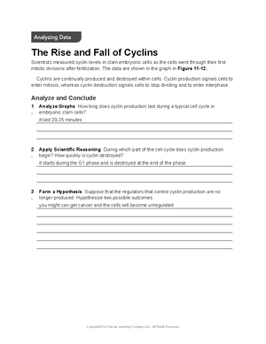 Pearson Spearman rho and Chi square spss output - Pearson Correlation ...
