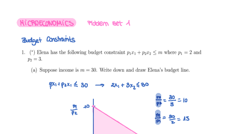 MICROECONOMICS Problem Set 1: Budget Constraints and Utility Analysis ...