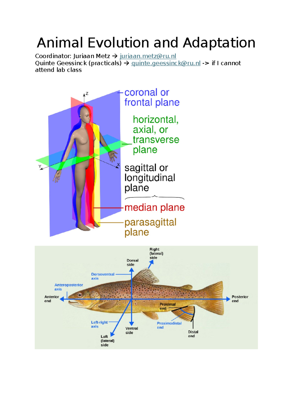 Lecture 1: Overview of Animal Evolution & Adaptation - Studeersnel