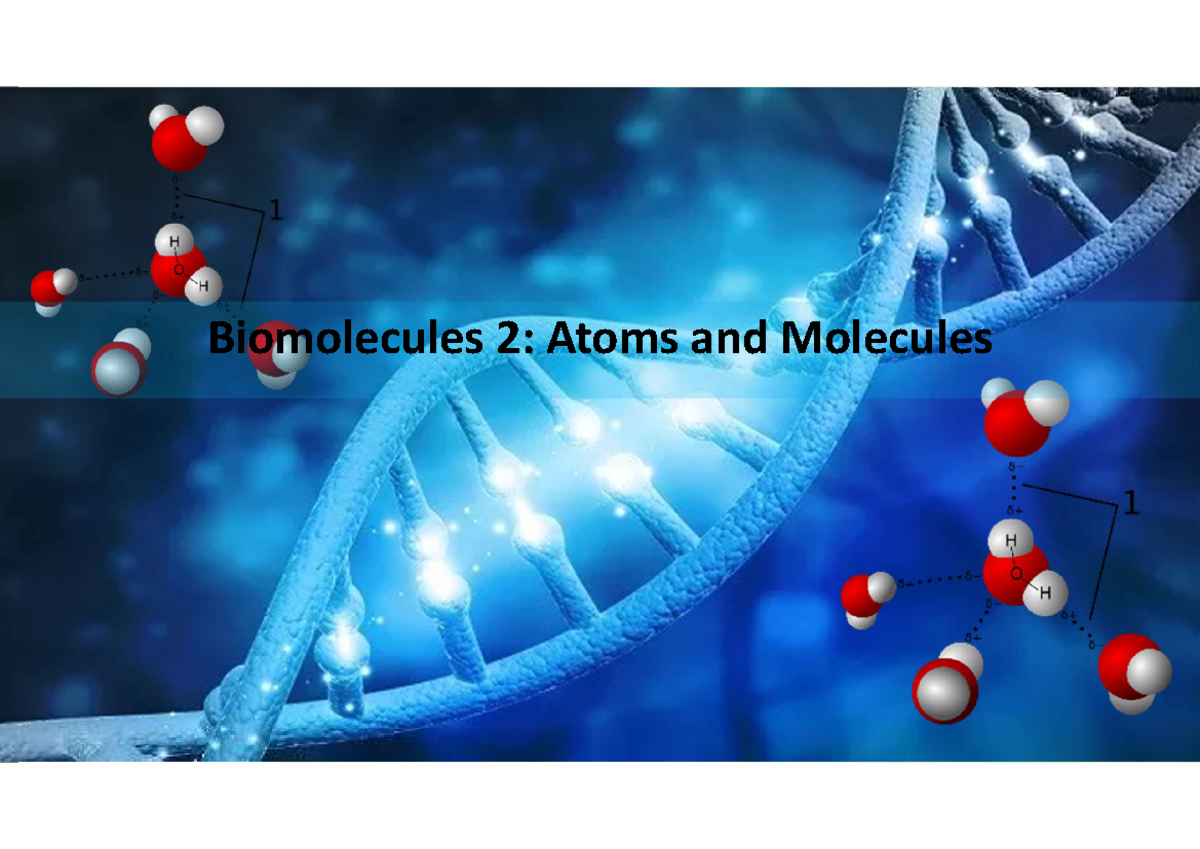 Biomolecules 2: Tutorial on Atoms, Molecules, and Chemical Bonds - Studocu