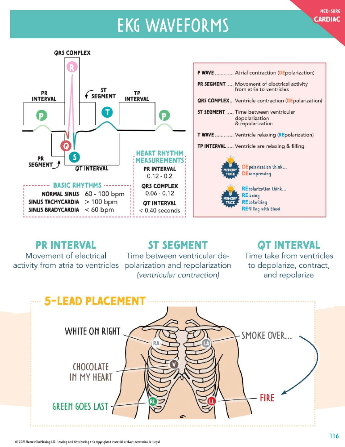 CARDIAC EKG WAVEFORMS & RHYTHMS: INTERPRETATION GUIDE (NURS 101) - Studocu