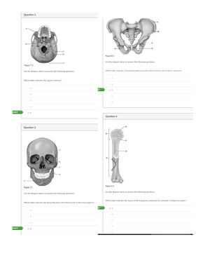 Anatomy Week 8 Activity Quiz - SCI 220 - Studocu