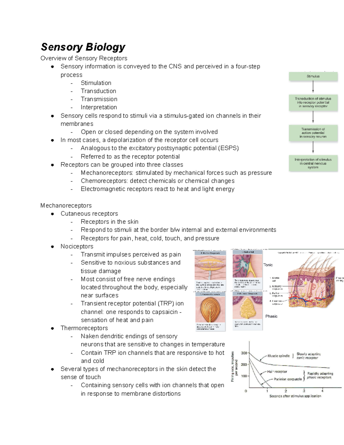 Sensory Biology Wks 5-10 Final Exam Notes Sheet - Studocu
