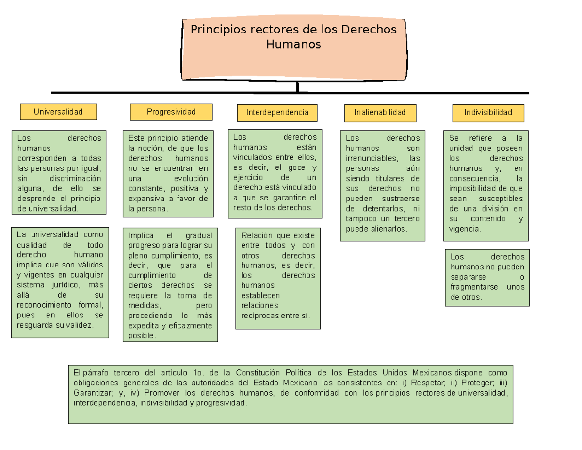 Principios Rectores de los Derechos Humanos - Act 1 - Studocu