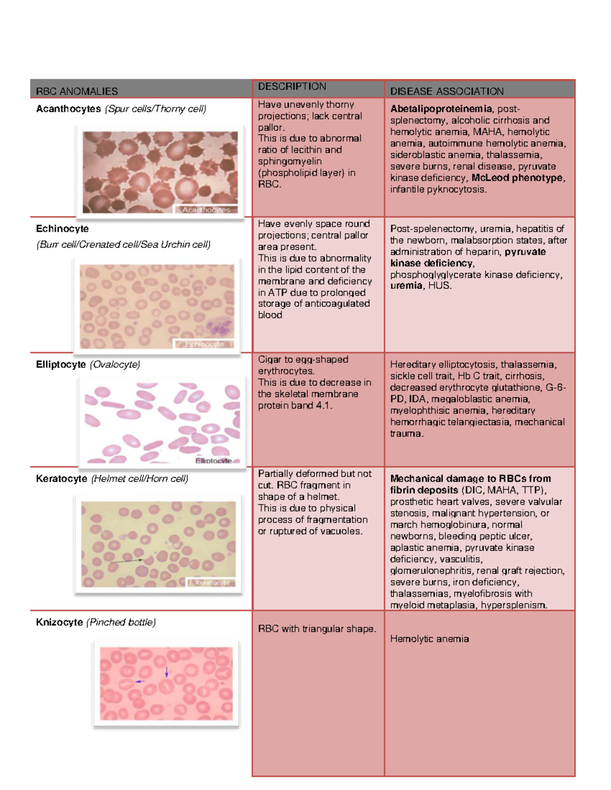 RBC Anomalies & Disease Associations: A Comprehensive Overview - Studocu