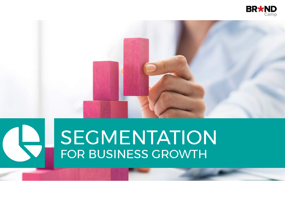 SEG Handout - njsdgjjsdgjksg - SEGMENTATION ! FOR BUSINESS GROWTH ...