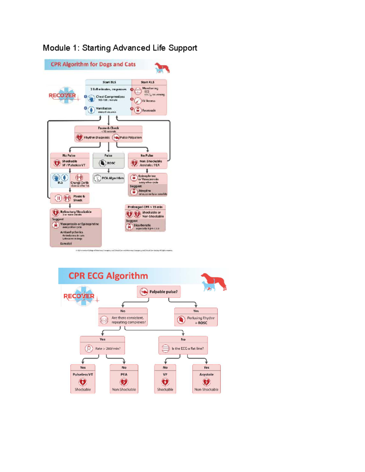 Module 1: Starting ALS - Vascular Access & Initial Drug Therapies - Studocu