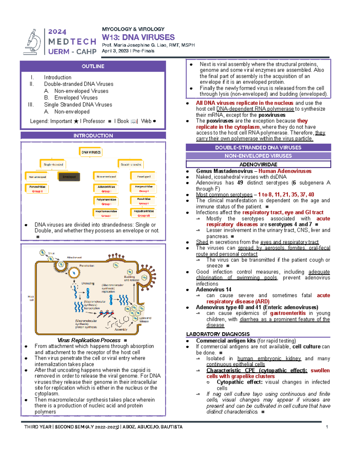 W13: Comprehensive Guide to DNA Viruses - Pre-Finals Notes - Studocu