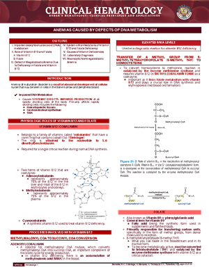 Chapter 3: Blood Collection Techniques and Anticoagulants (BSMT 3 ...
