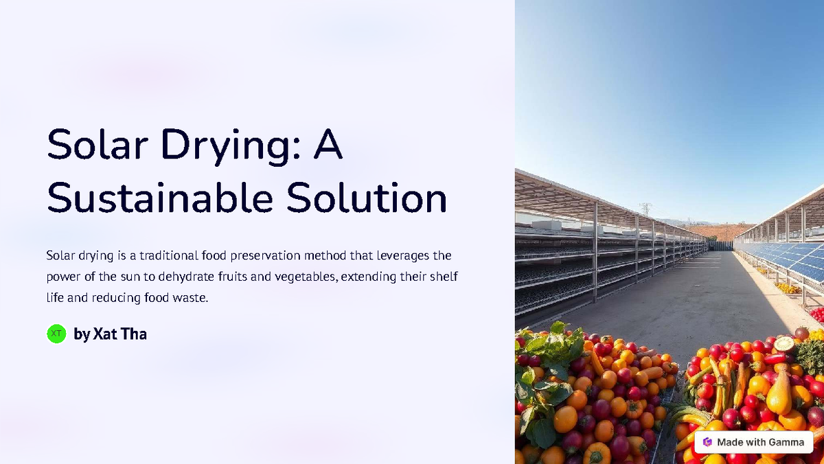 Solar Drying: Sustainable Food Preservation Techniques (XT) - Studocu