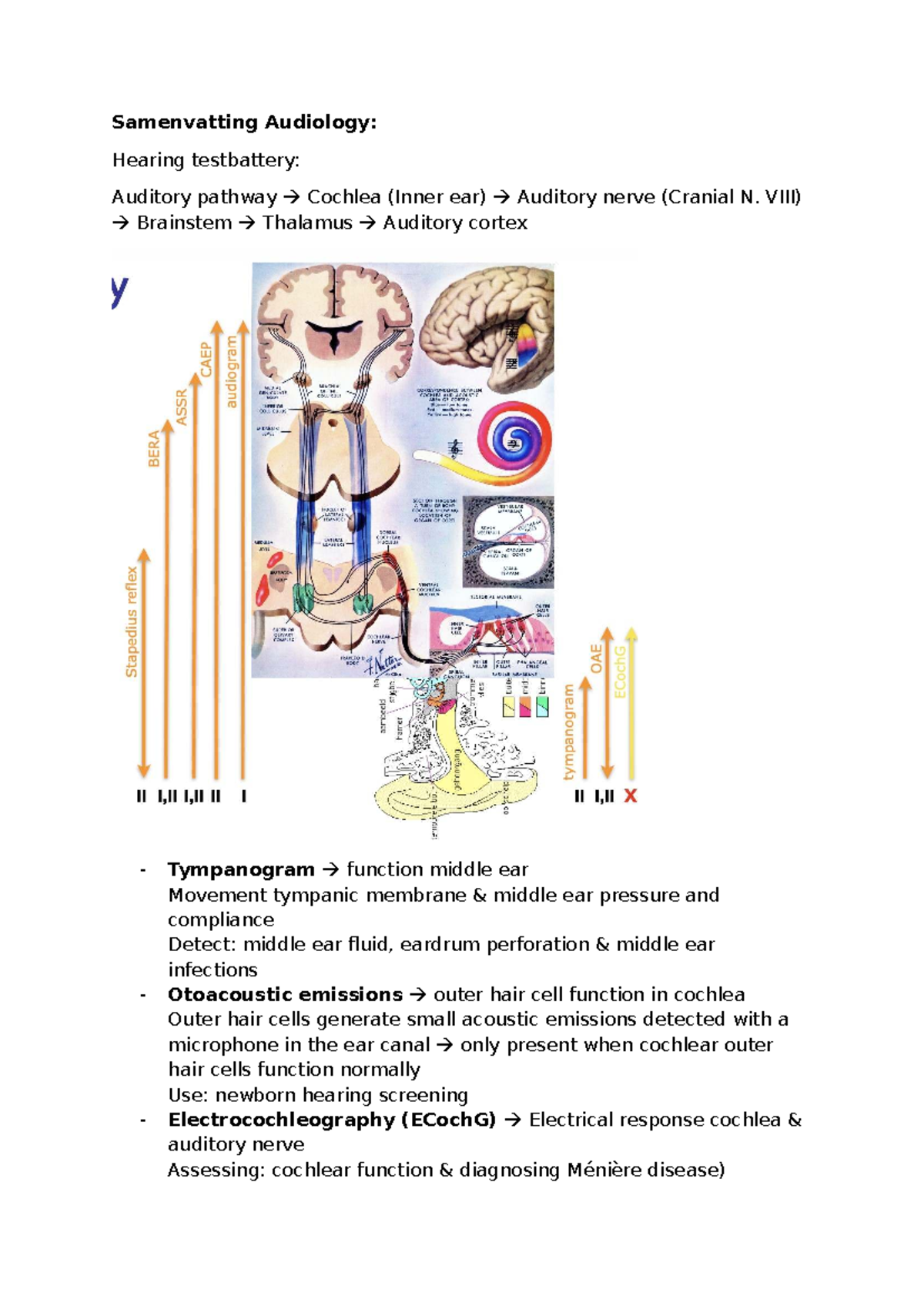 Samenvatting Audiology: Hearing Test Battery & Cochlear Function ...