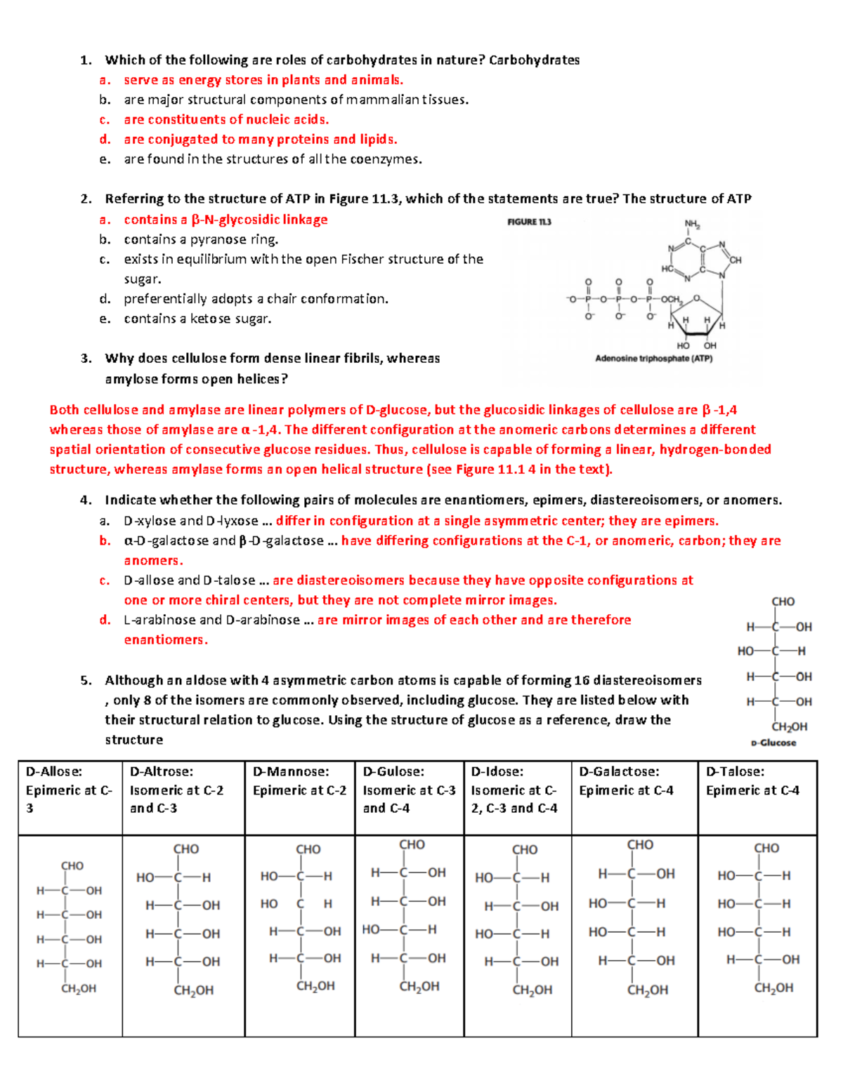 Biochemistry I - Exam #3 Comprehensive Study Guide and Review - Studocu
