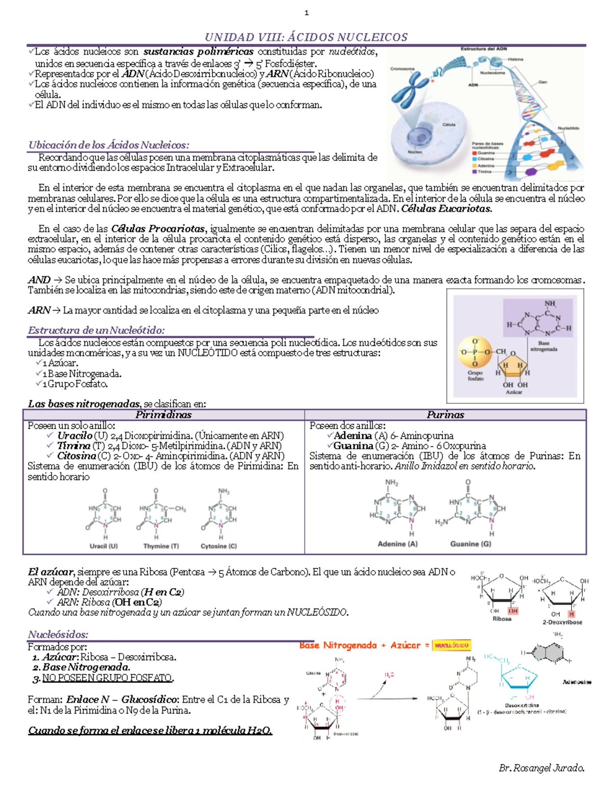 Manipulacion de ADN CCDB dominar tecnicas de manipulacion de ADN -  FasterCapital, image size:1200x1553