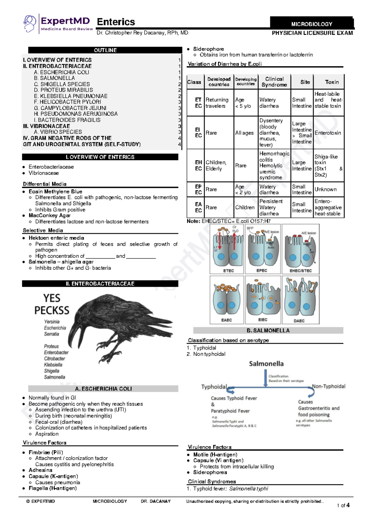 08 Enterics Microbiology Outline for Physician Licensure Exam - Studocu