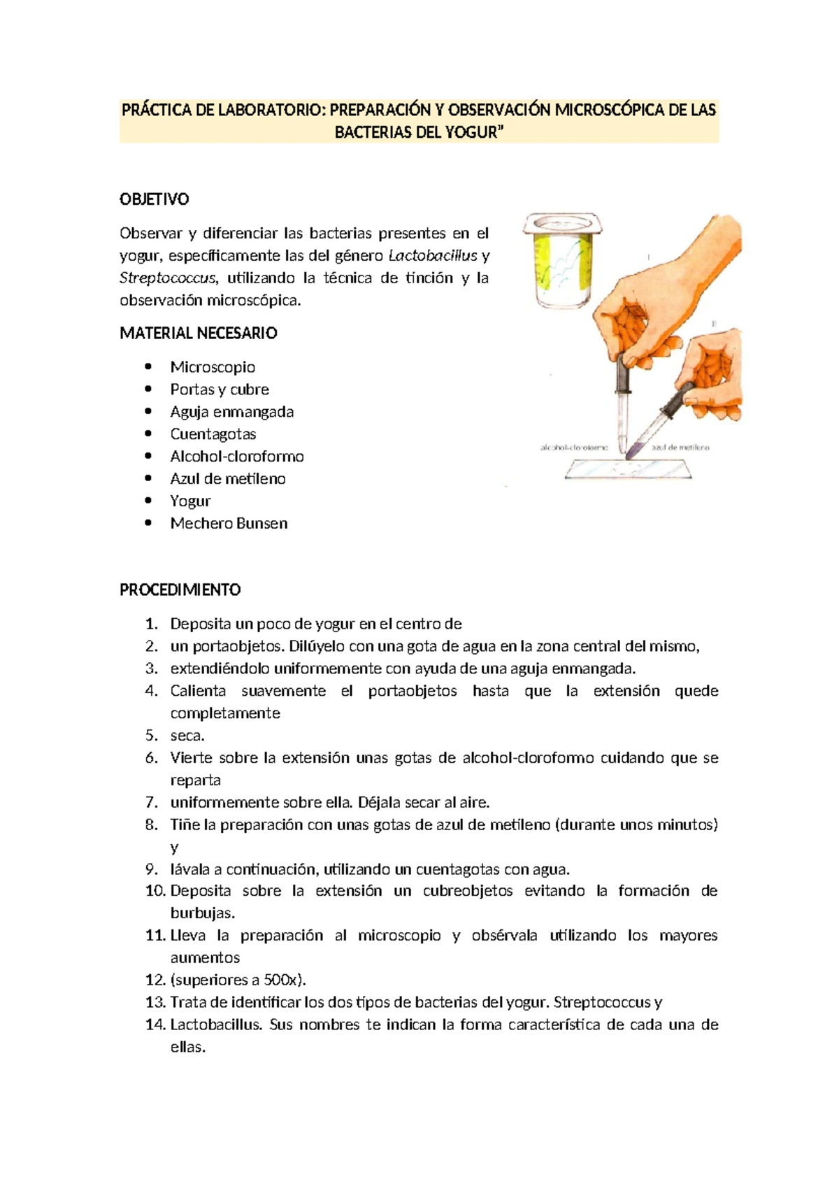 Ejercicios y soluciones sobre Moneras, Protoctistas y Hongos - 1 ESO -  Studocu