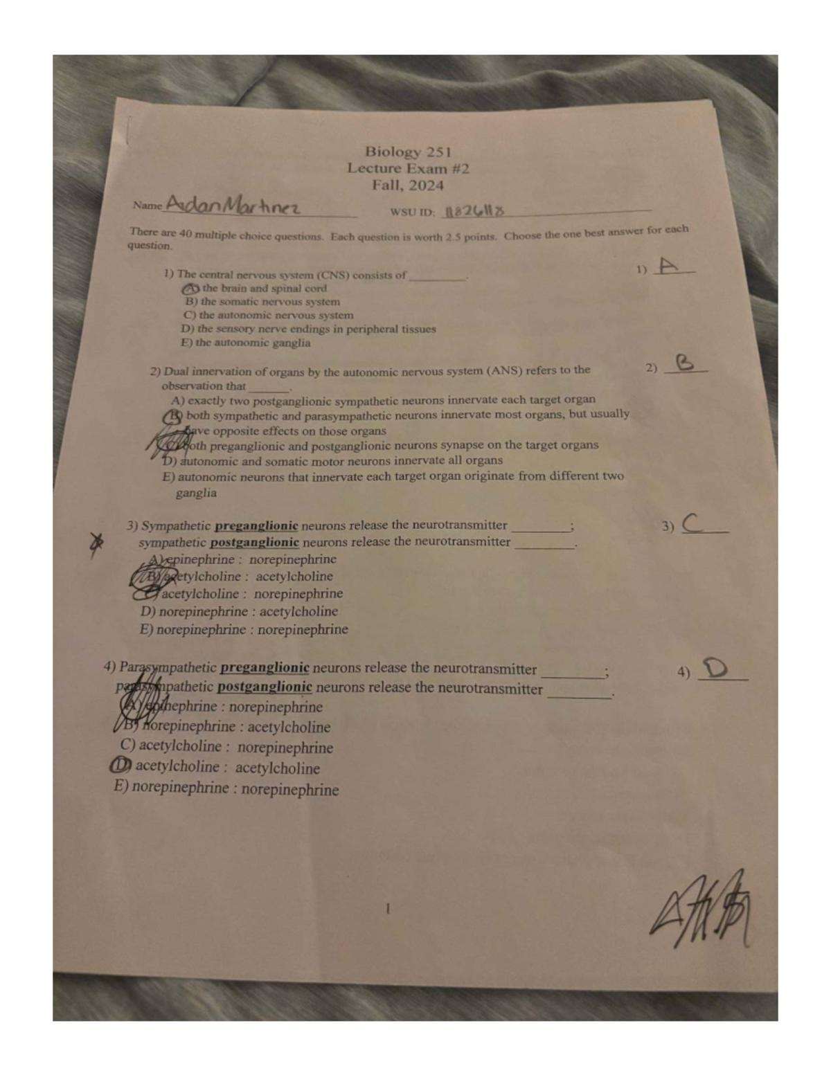 Biology 251 Lecture Exam - Fall 2024 Multiple Choice Questions - Studocu