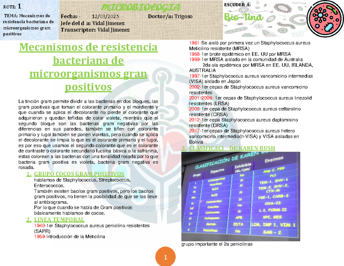 Mecanismos de resistencia bacteriana de microorganismos gram positivos