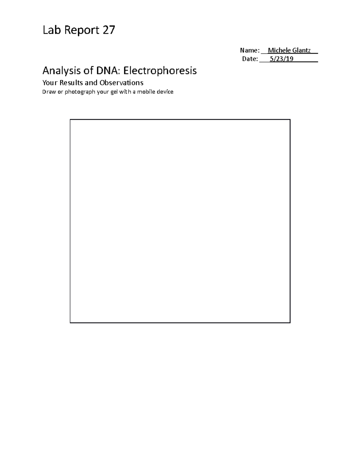 Lab Exercise 27: DNA Electrophoresis Analysis and Interpretation - Studocu