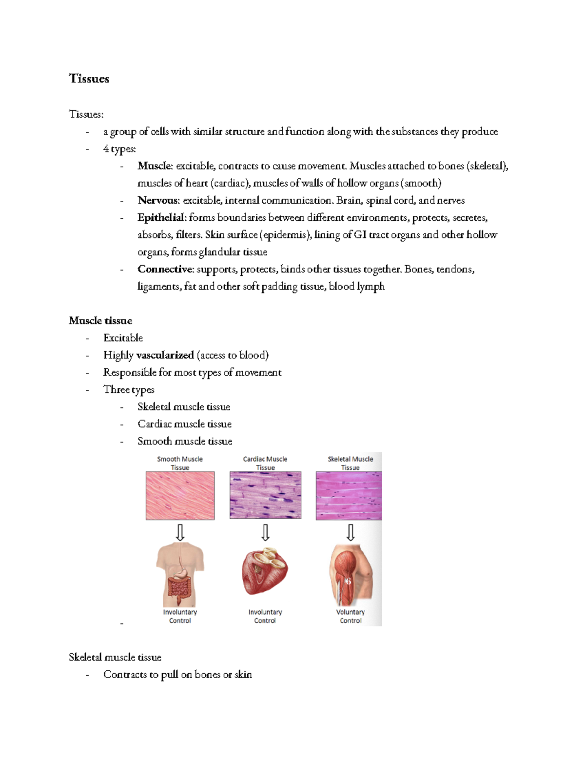 Lecture Notes on Tissues: Types & Functions of Muscle, Nervous ...
