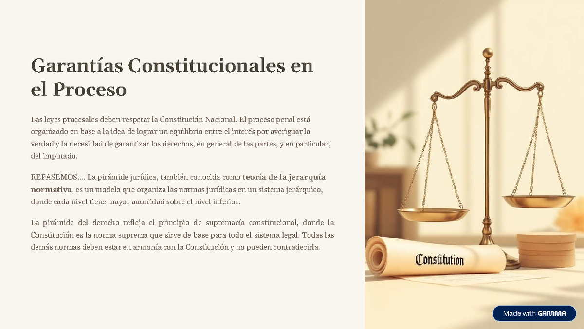 Garantías Constitucionales en el Proceso Penal: Análisis y Principios ...
