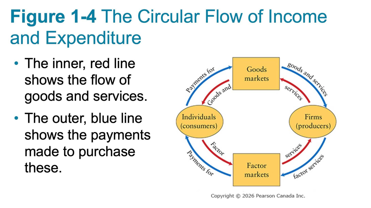 Circular Flow of Income & Expenditure: Key Concepts Explained - Studocu