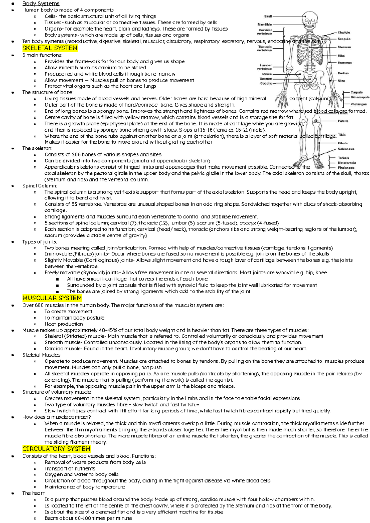 Body Systems Overview: SKELETAL, MUSCULAR & CIRCULATORY Systems - PASS ...