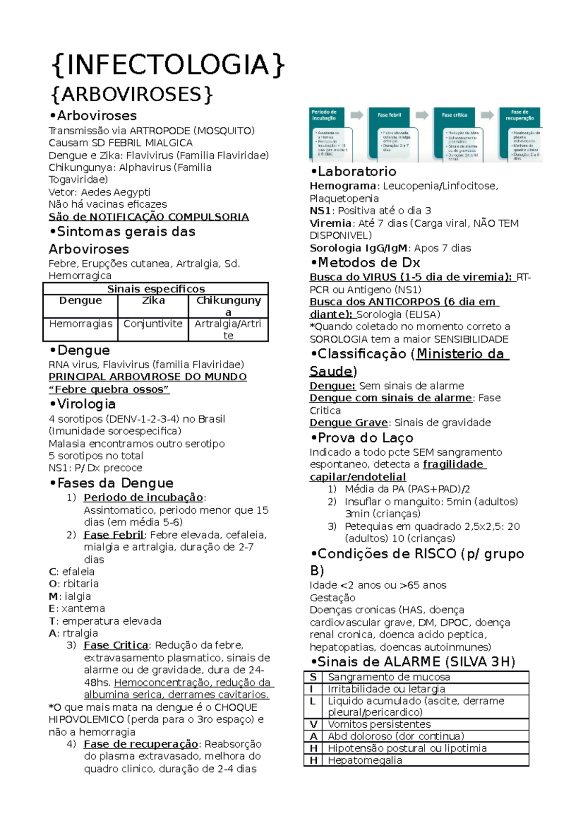 Brasil investiga as primeiras suspeitas de morte por febre oropouche no  mundo – Noticias R7, image size:1200x1698