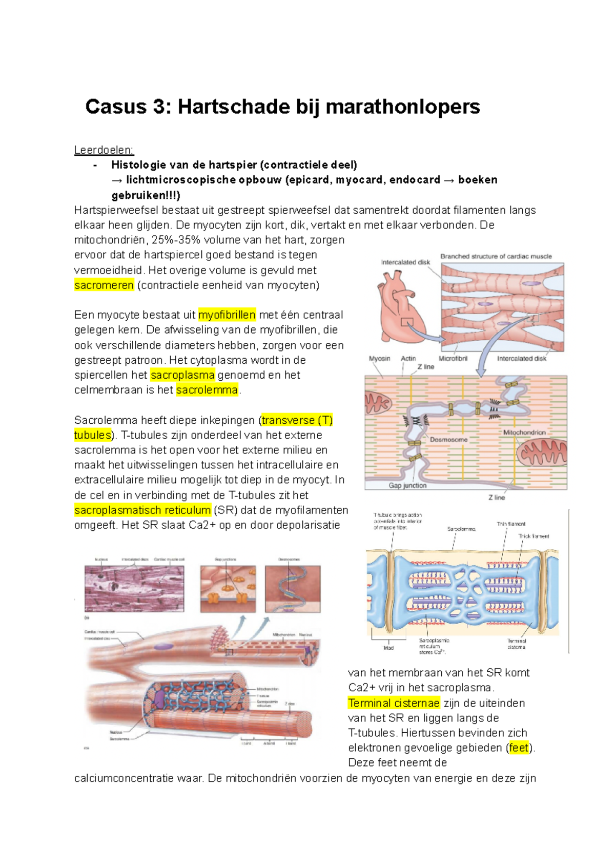 Casus 3: Hartschade bij Marathonlopers en Histologie van de Hartspier ...