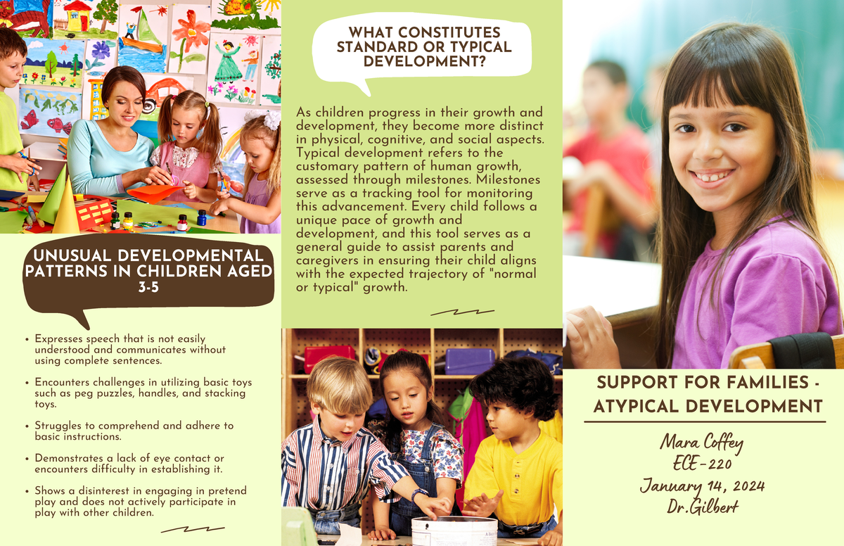 Support for Families: Atypical Development in Children (ECE-2024) - Studocu