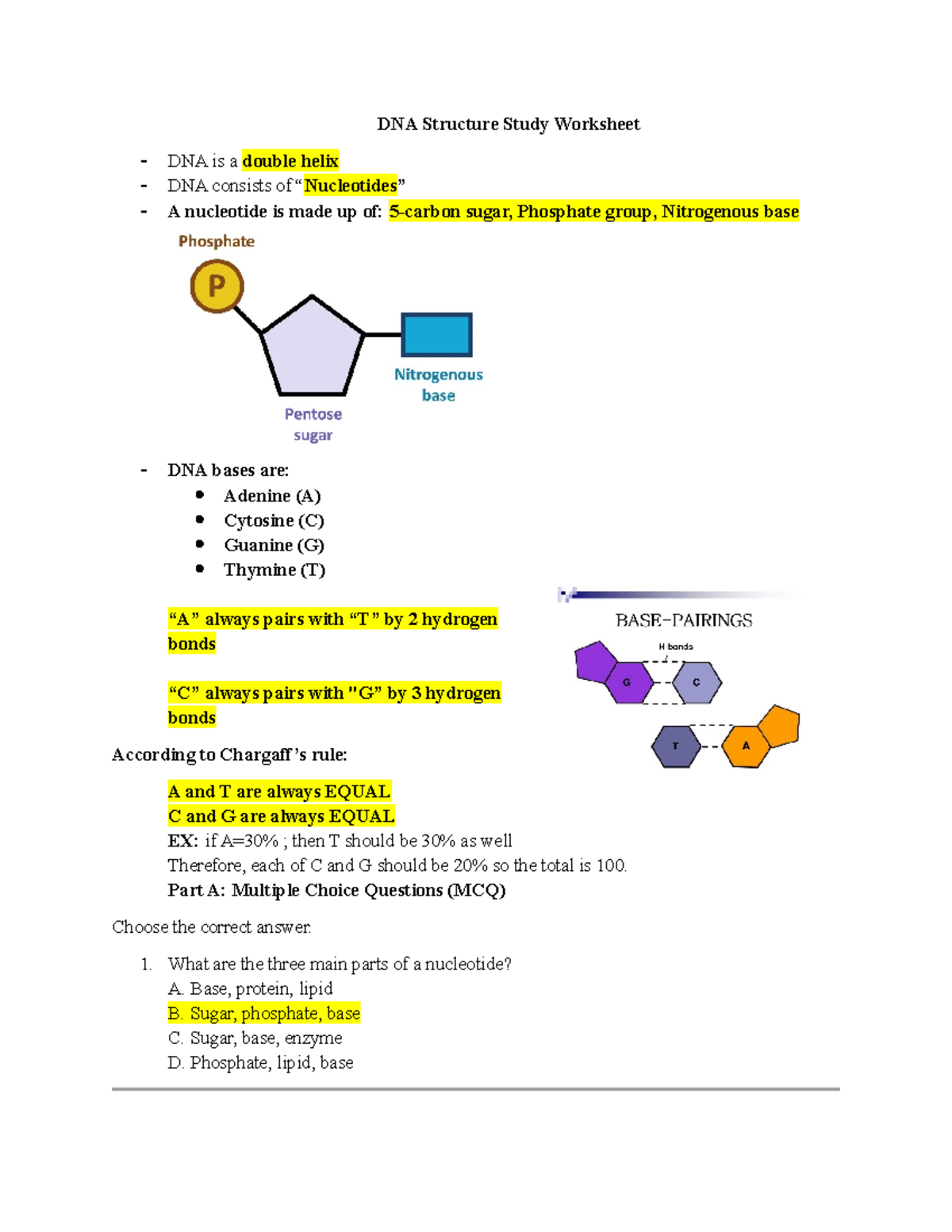DNA Structure Study Worksheet - Answer Key for MCQs and Short Responses ...