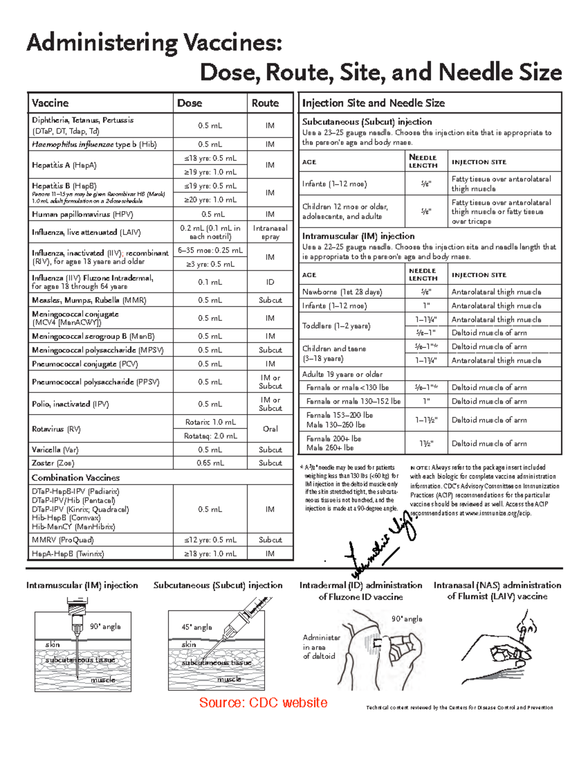 Administering Vaccines: Injection Sites and Needle Sizes Guide - Studocu