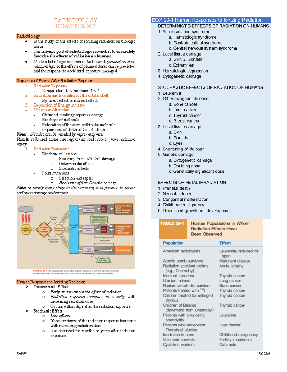 HUMAN RADIOBIOLOGY: Effects of Ionizing Radiation on Tissues and Cells ...