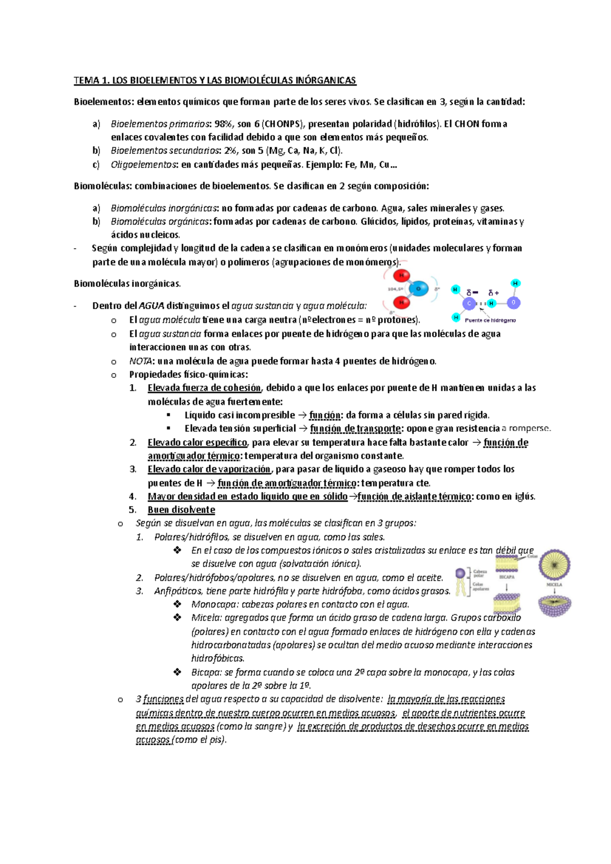 Biología apuntes - TEMA 1. LOS BIOELEMENTOS Y LAS BIOMOLÉCULAS ...