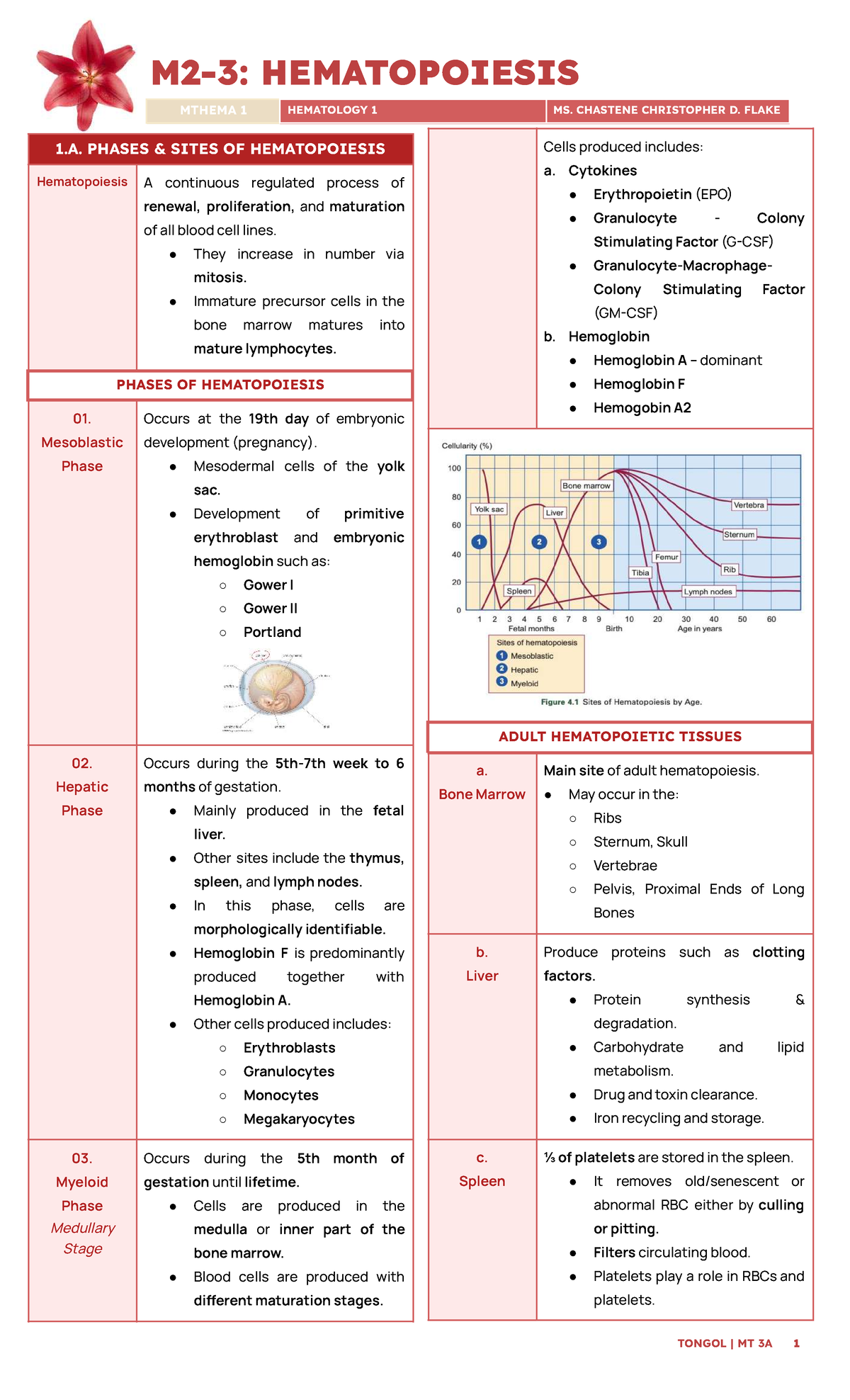 HEMATOPOIESIS: A Comprehensive Overview - HEMA 1 LEC Module 2-3 - Studocu