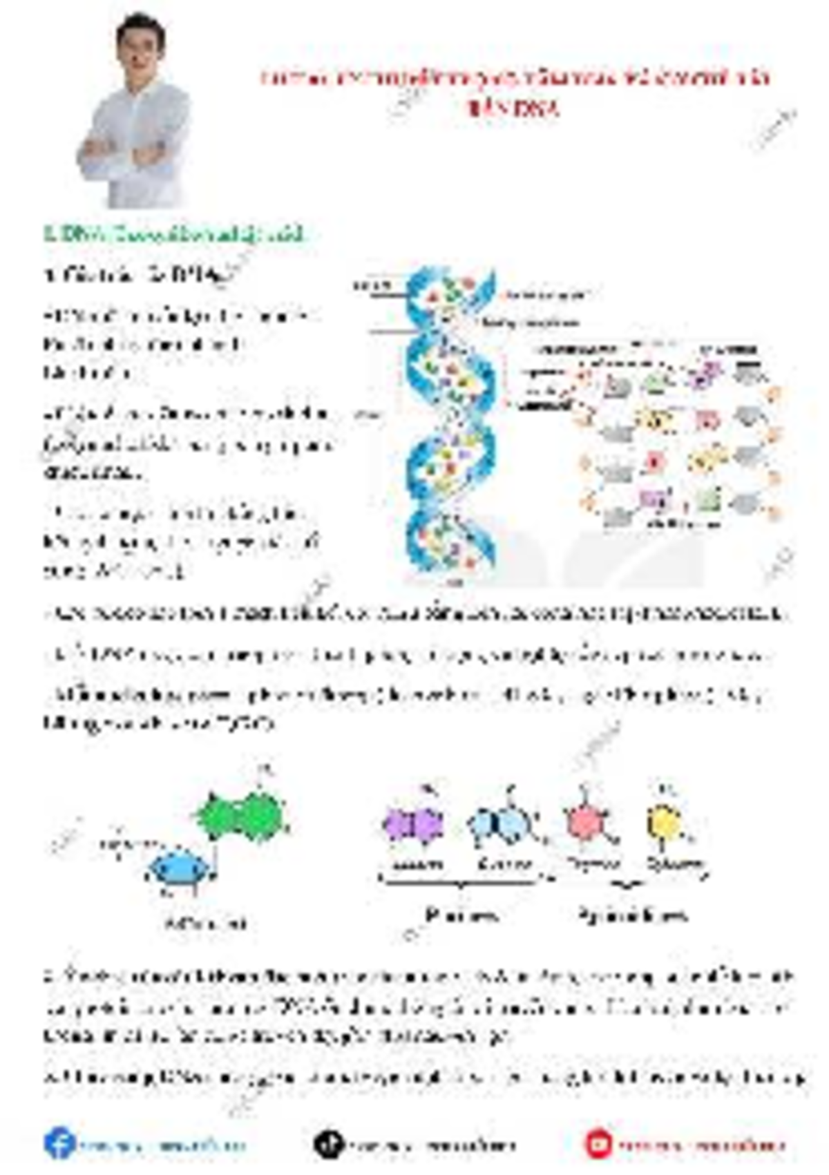 LIVE 01: Lý Thuyết Về DNA và Cơ Chế Tái Bản DNA - Studocu