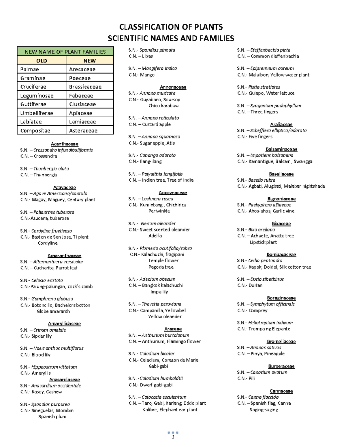Plant Families and Scientific Names: Comprehensive List and ...