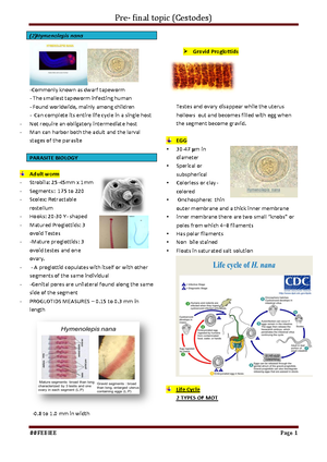 Strep- Diagram - CATALASE NEG BASED ON O REQUIREMENTS AEROBES ANAEROBES ...