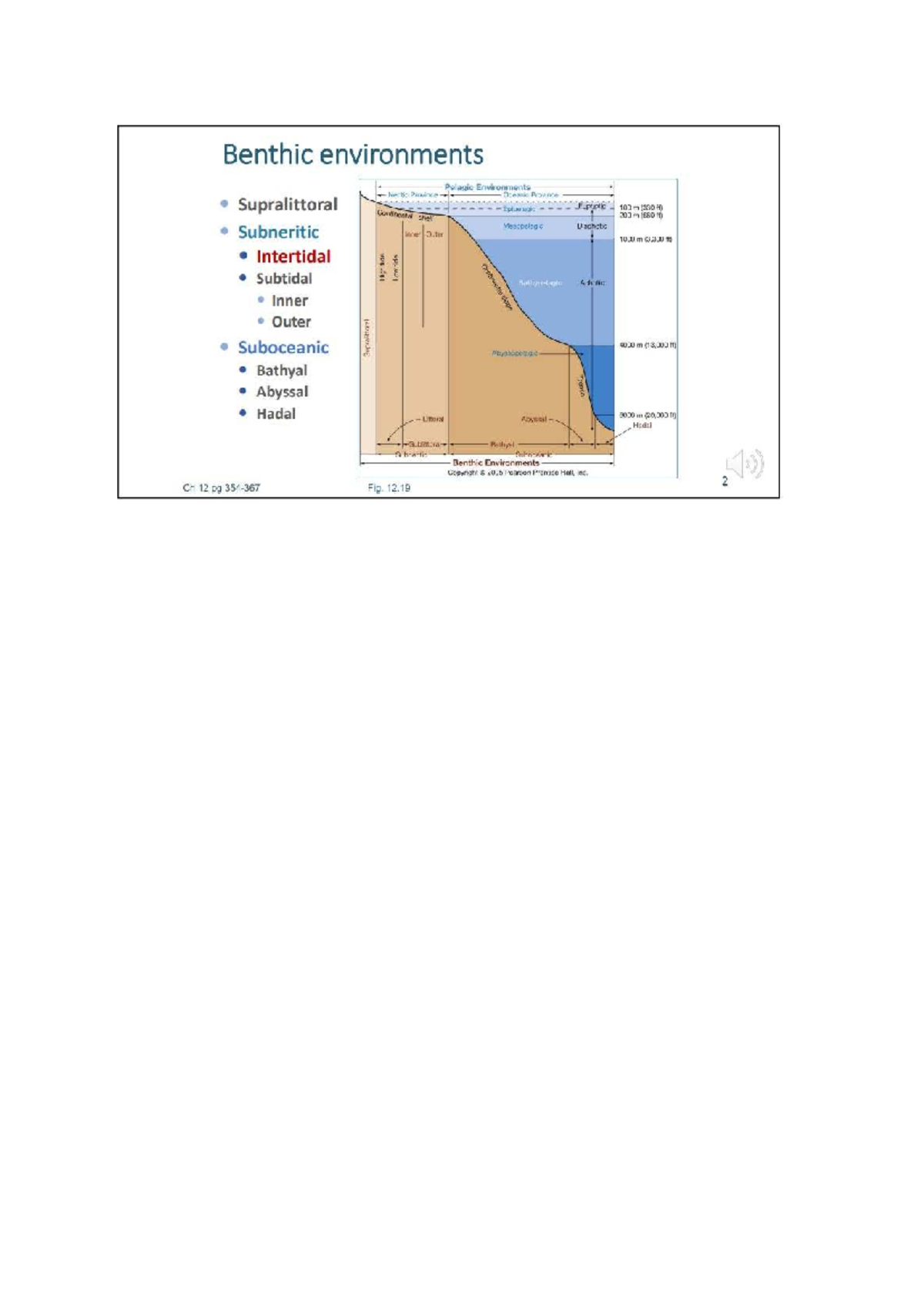 Benthic Subsystems - Notes for Oceanography 100 - Studocu