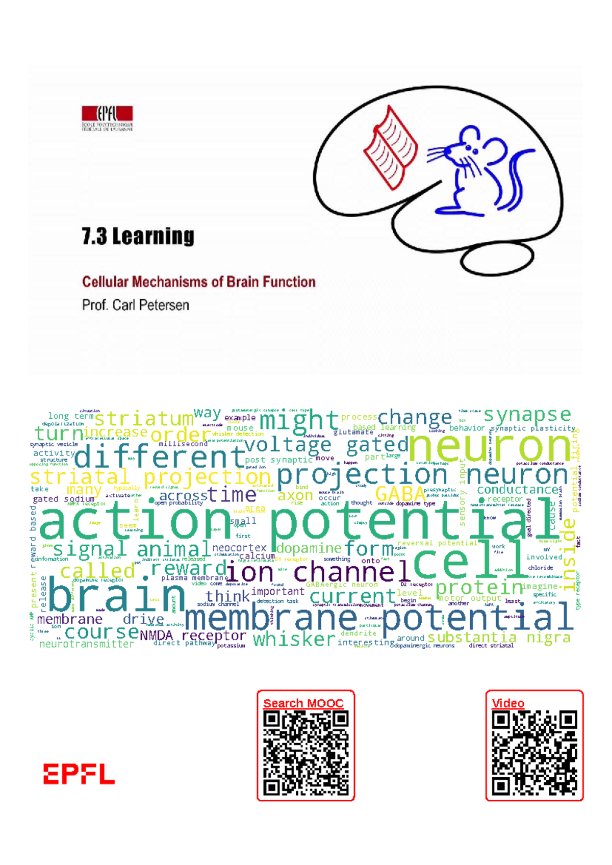 7.3 Learning: Cellular Mechanisms of Brain Function in Striatal Neurons ...