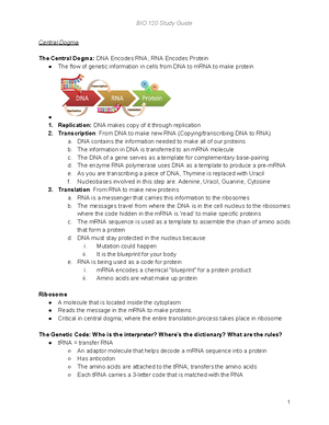 Bio 120 - Exam 3 Study Guide - Bio 120 - Exam 3 Study Guide (Human ...
