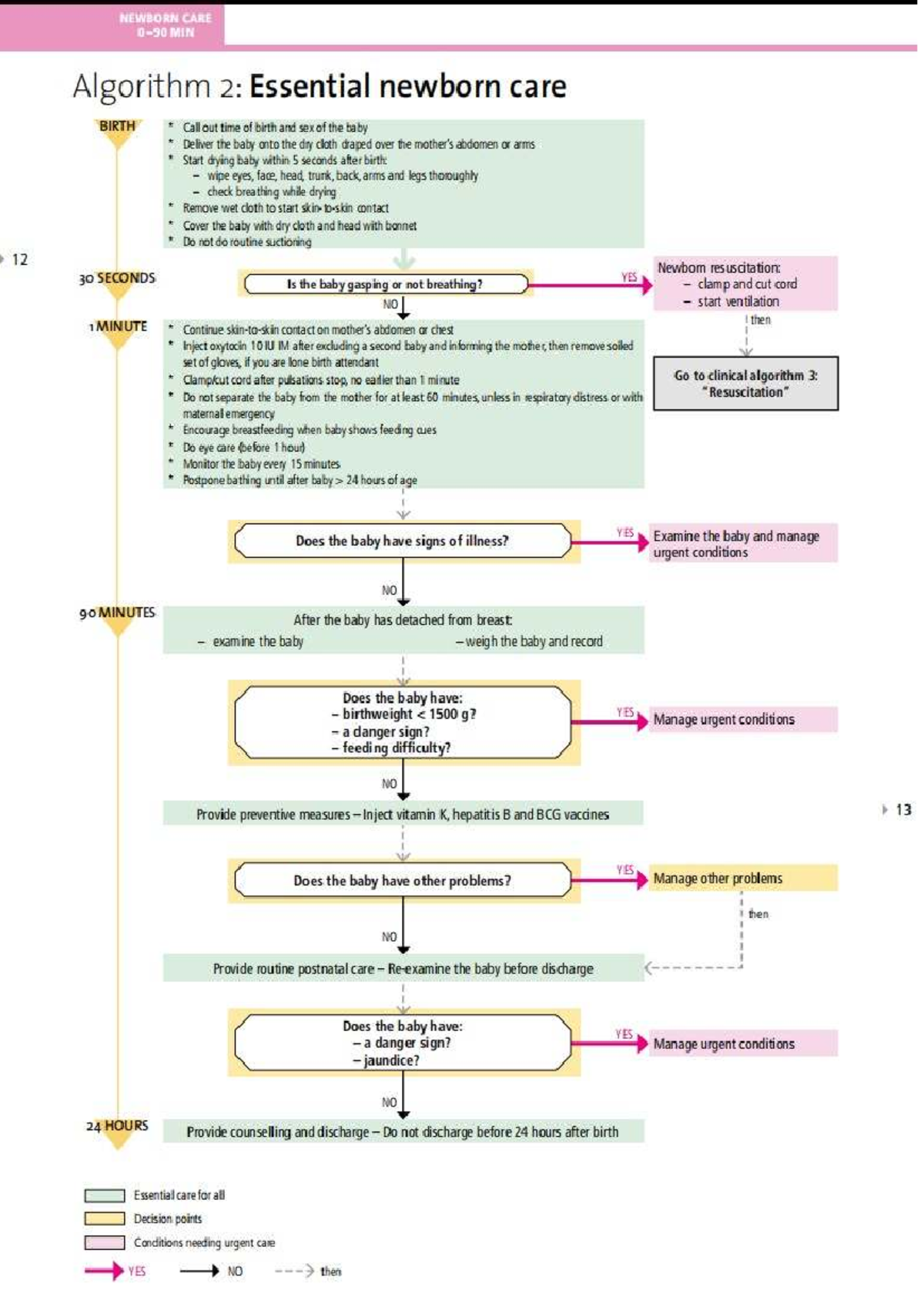 EINC Flow: Essential Intrapartum Newborn Care Guidelines - Studocu