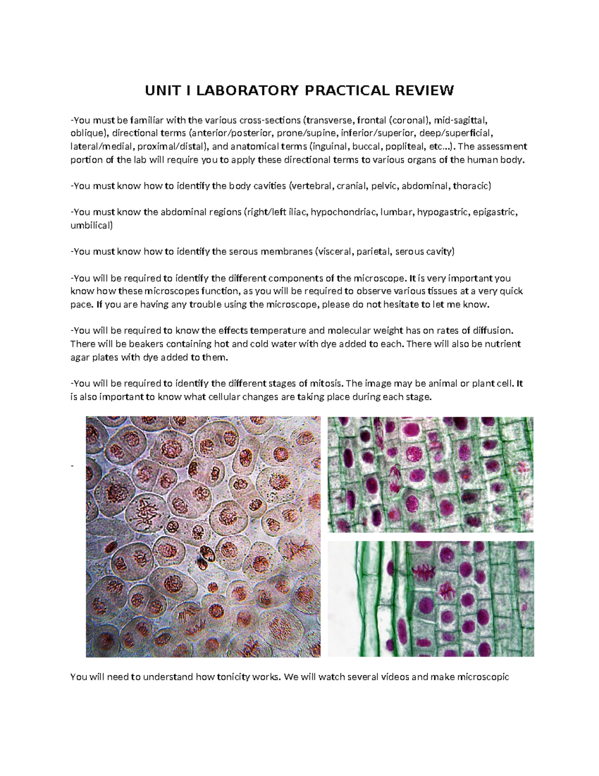 Unit I Laboratory Practical Review: Anatomy, Microscopy & Safety - UNIT ...