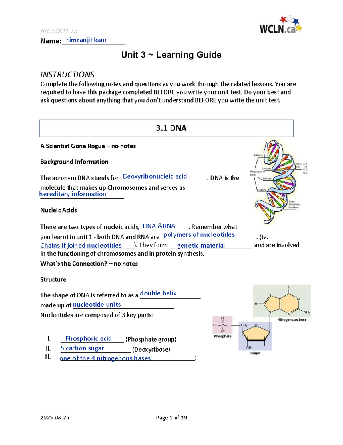 BIOLOGY 12 Unit 3 Learning Guide: DNA Structure and Function - Studocu