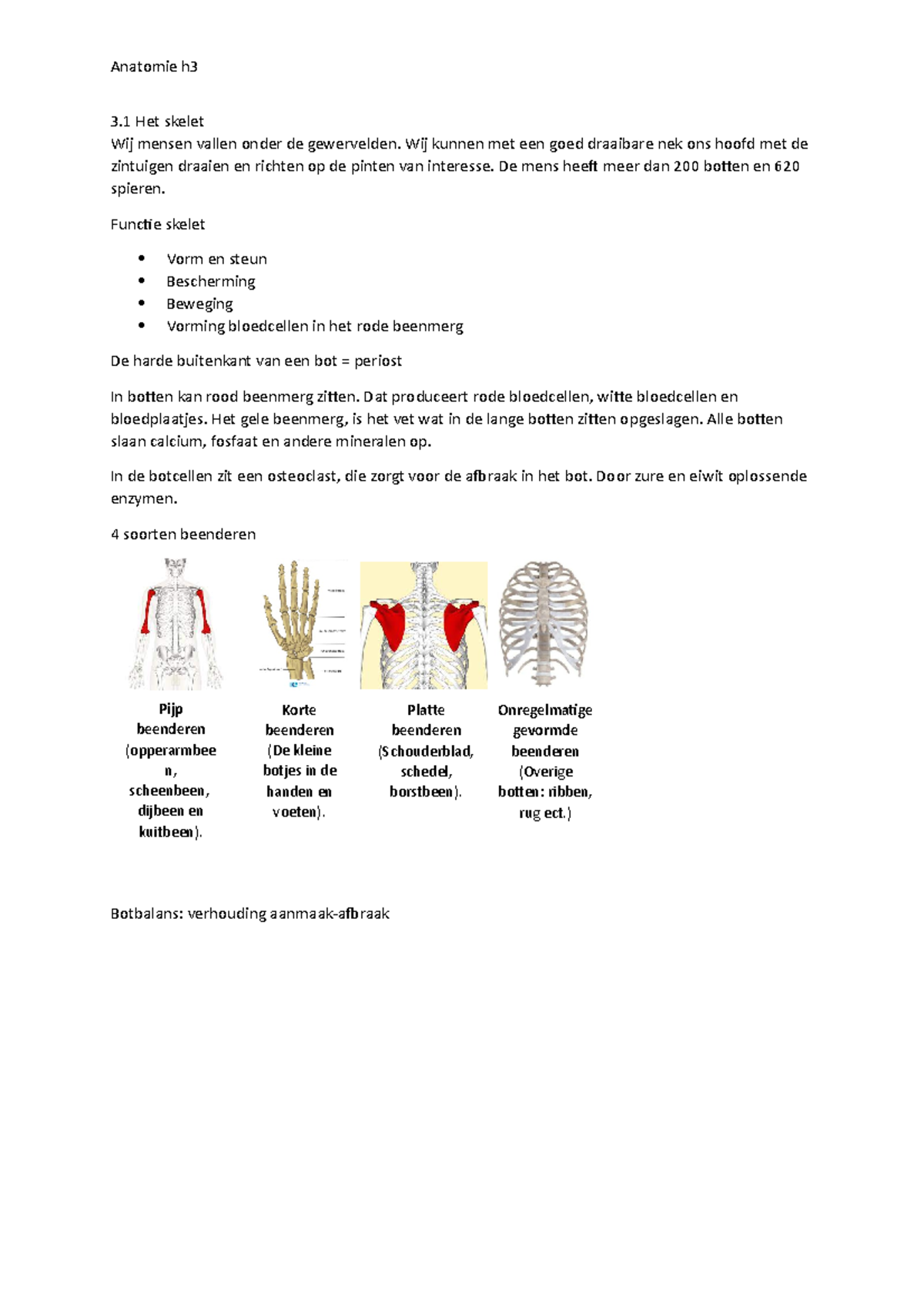 Samenvatting Anatomie Hoofdstuk 3 - Verpleegkunde 1e Jaar - Studeersnel