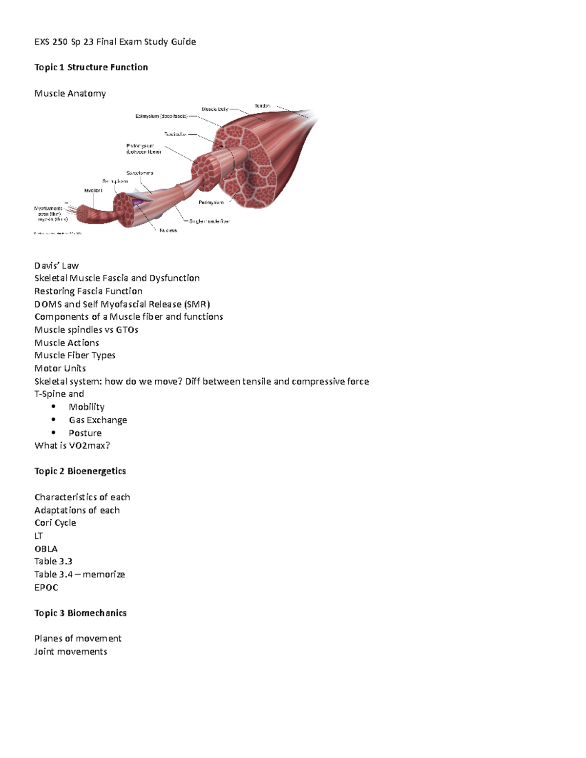 EXS 250 Sp 23 Final Exam Study Guide: Key Concepts and Topics - Studocu