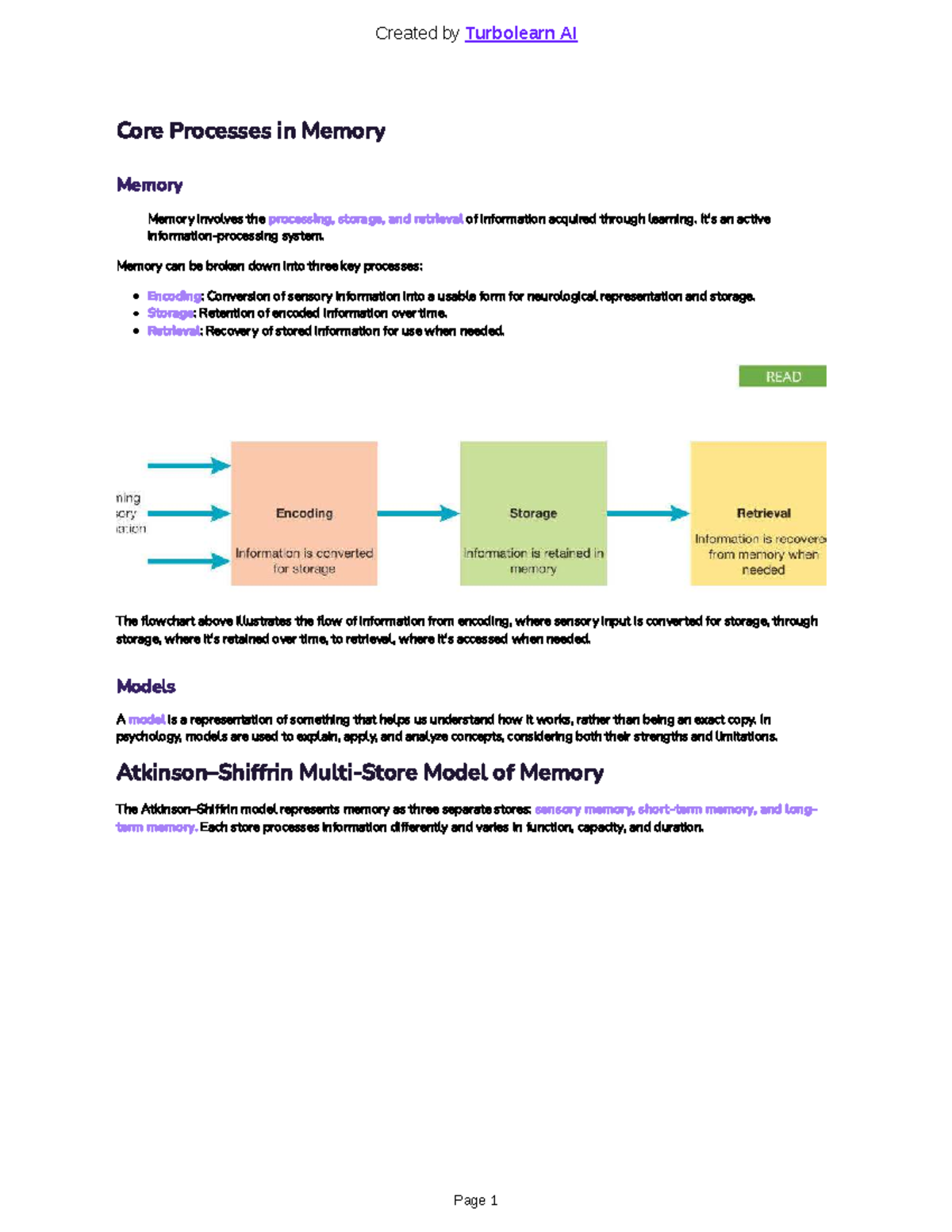 Psychology Unit 3 AOS 2: Memory Processes and Brain Functions - Studocu