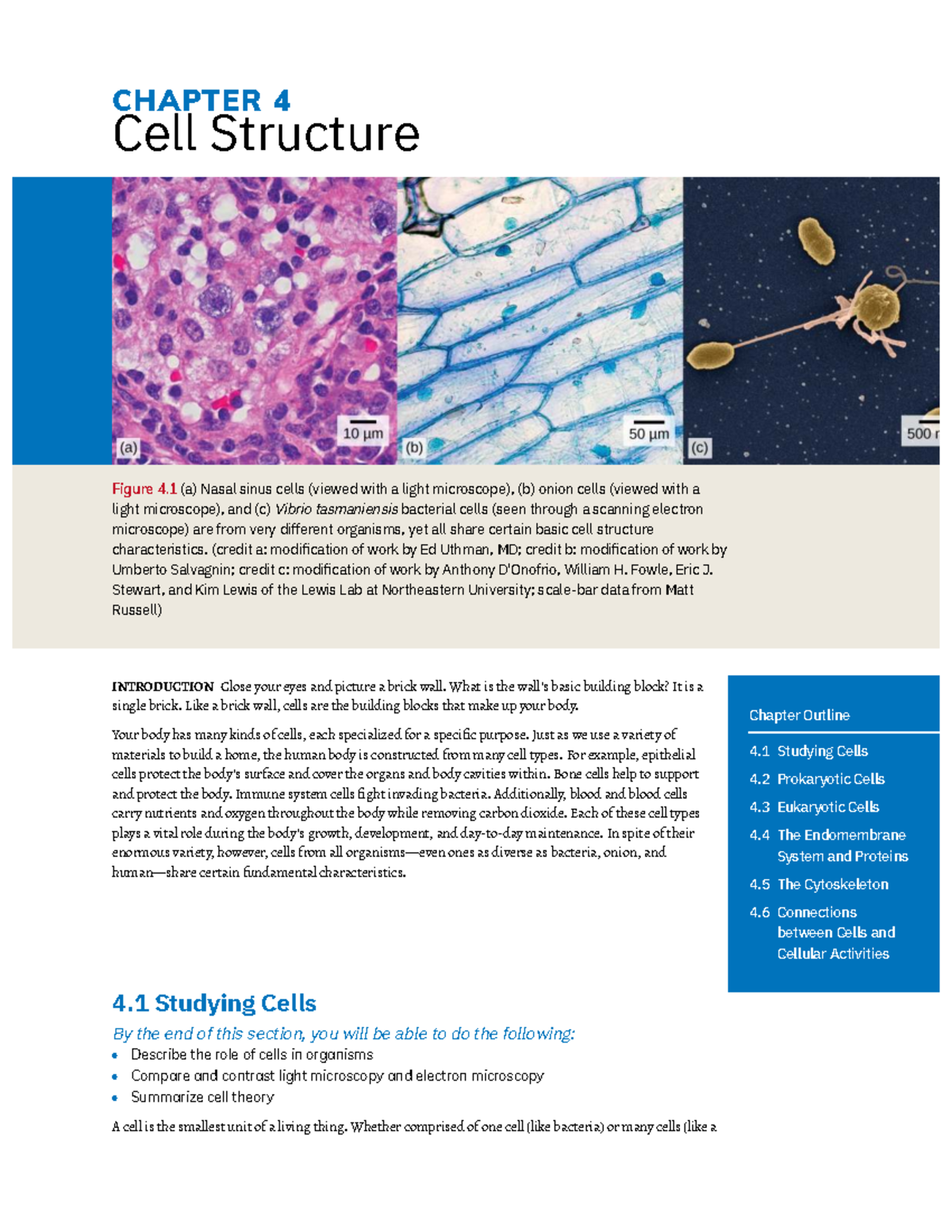 CHAPTER 4: Cell Structure Summary - Prokaryotic & Eukaryotic Cells ...